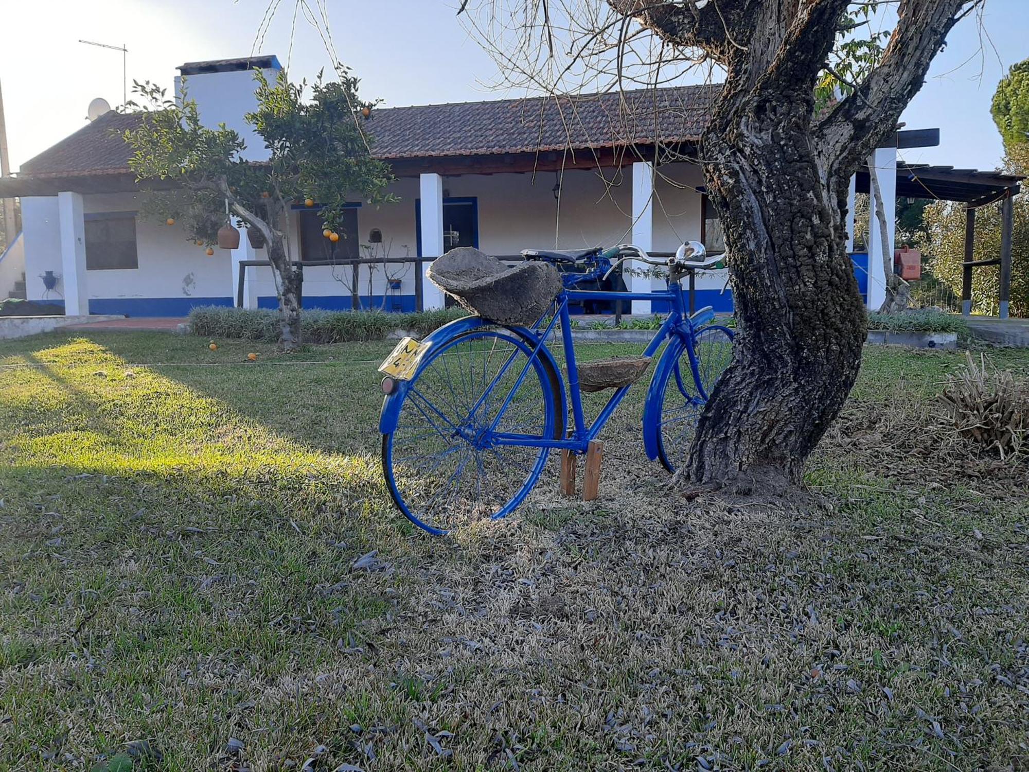 Monte Das Laranjeiras Corticadas do Lavre Dış mekan fotoğraf